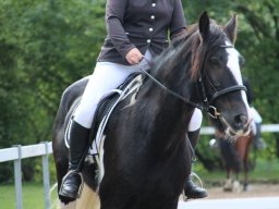 IMG_0914_web